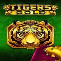 Tiger's Gold-BOOONGO