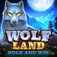 Wolf Land: Hold and Win-PLAYSON